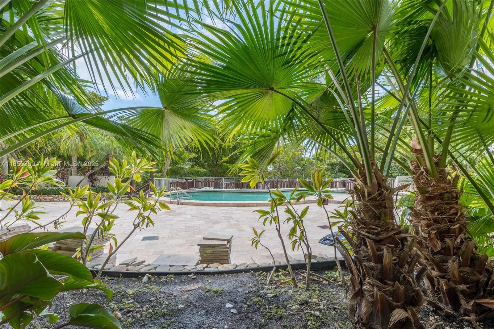 1000 Quayside Terrace, Unit 308 Miami, FL 33138 - Photo 5 of 28 a view of a plant in a garden