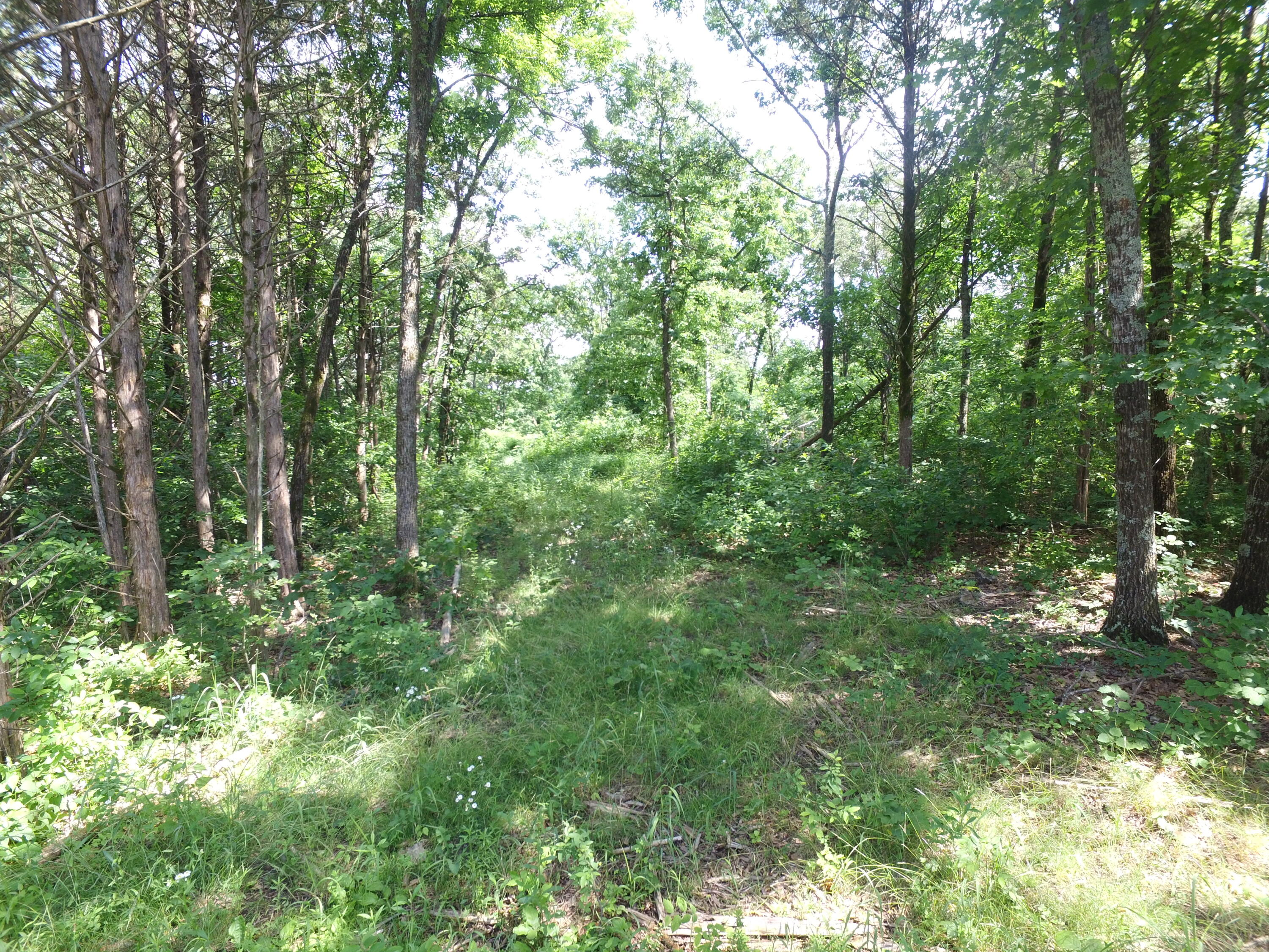 0 YY 15 Road Shell Knob, MO 65747 - Photo 22 of 23 DJI_0015