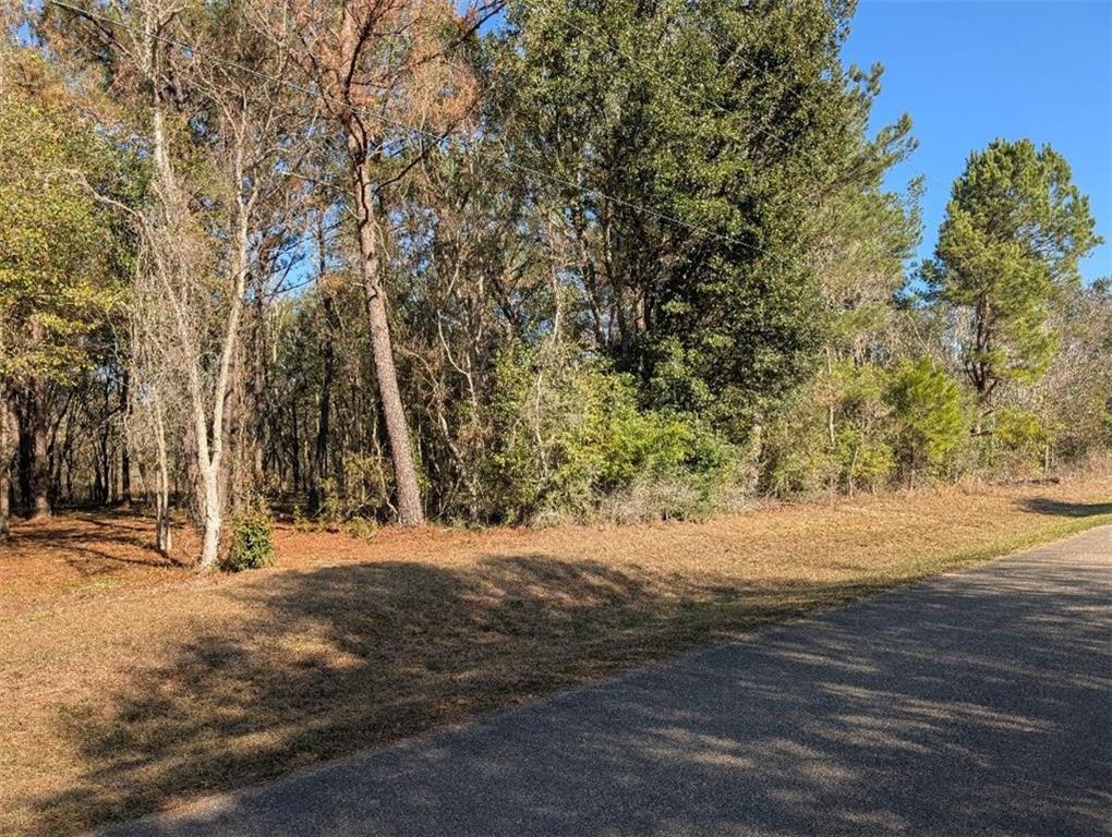 0 Azalea Drive Abita Springs, LA 70420 - Photo 2 of 4