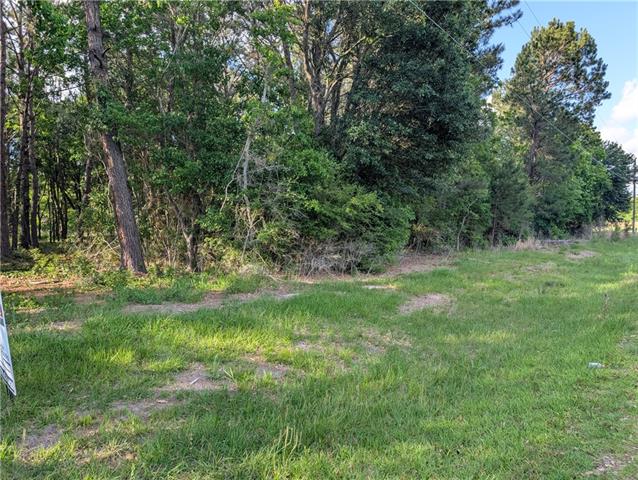 0 Azalea Drive Abita Springs, LA 70420 - Photo 2 of 3