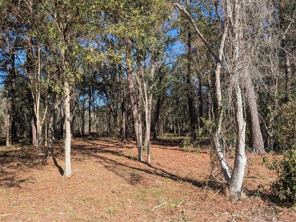 0 Azalea Drive Abita Springs, LA 70420 - Photo 3 of 4