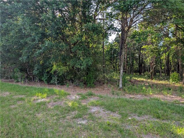 0 Azalea Drive Abita Springs, LA 70420 - Photo 3 of 3