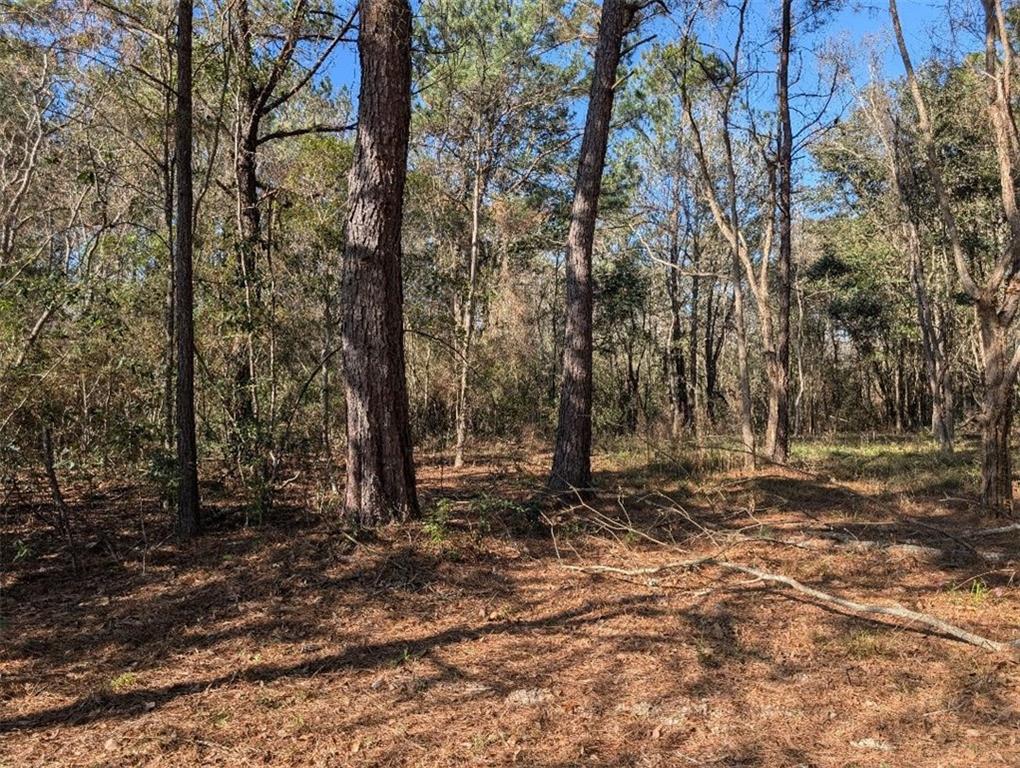 0 Azalea Drive Abita Springs, LA 70420 - Photo 4 of 4