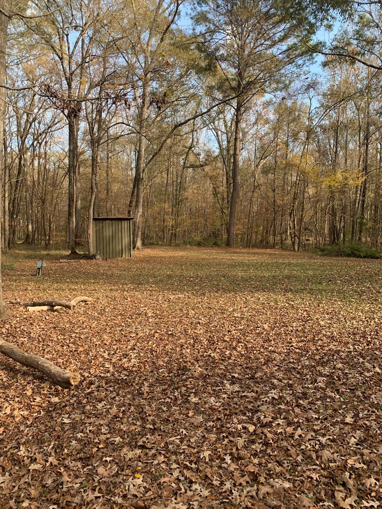 259 Slip Trail Roxie, MS 39661 - Photo 31 of 37 Photo 31