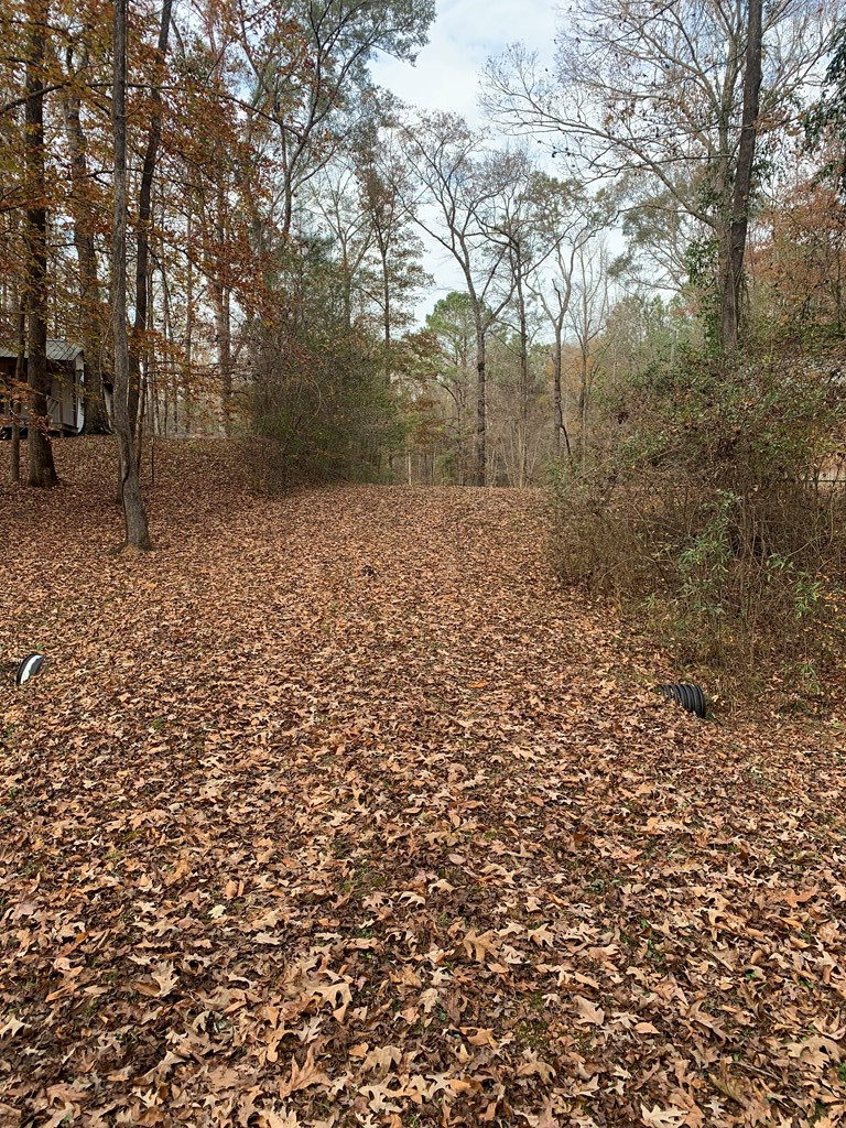 259 Slip Trail Roxie, MS 39661 - Photo 36 of 37 Photo 36