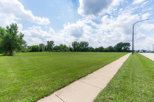 a view of a park with large trees
