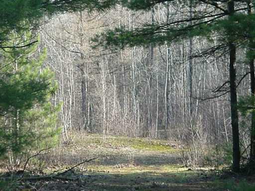 Lot 14 Allen Road Harrisville, PA 16038 - Photo 3 of 3 Other.