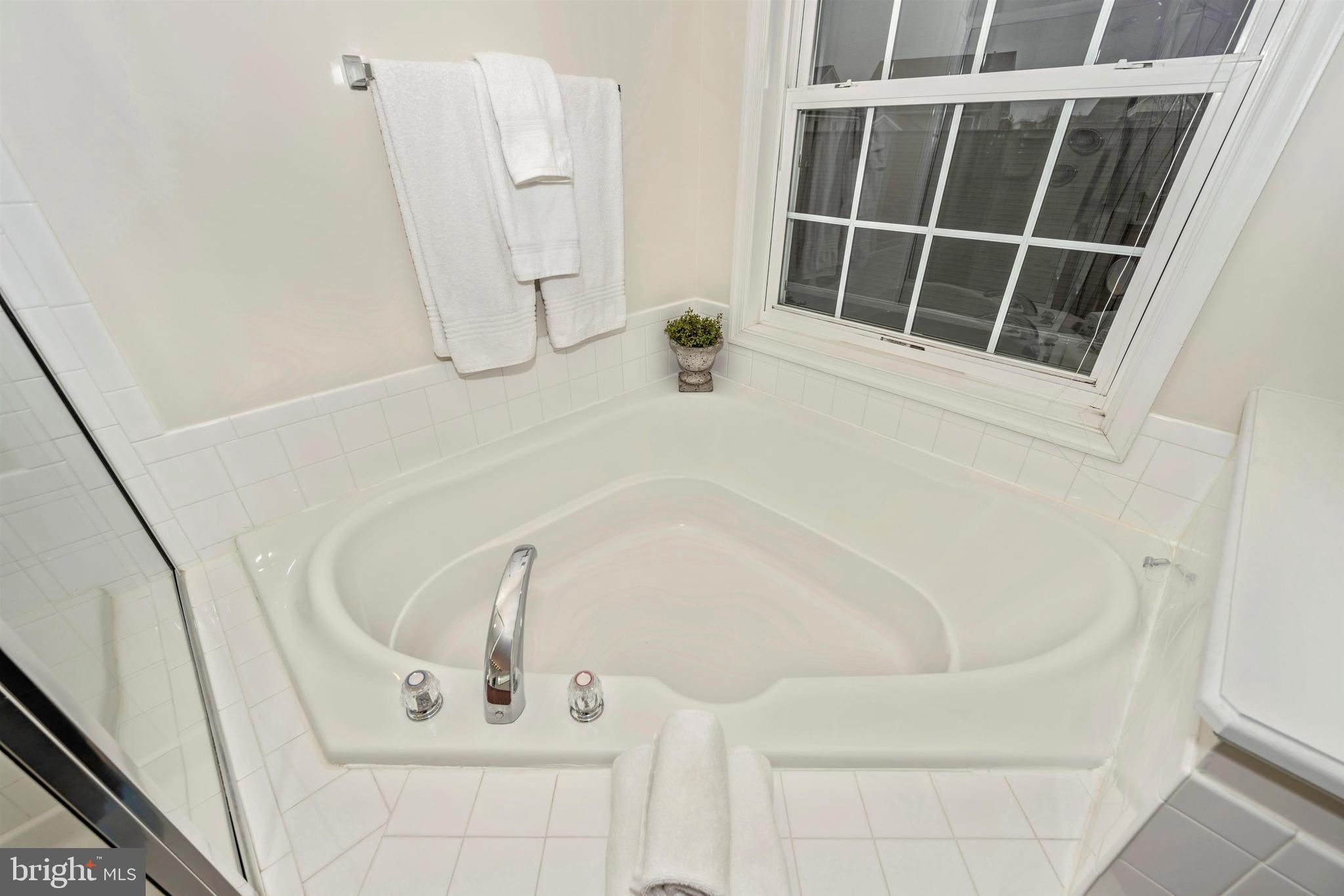 3905 Addison Woods Road Frederick, MD 21704 - Photo 22 of 35 Master Bath Soaking Tub
