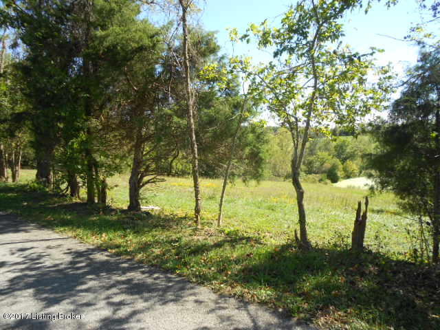 3075 Benson Creek Road Waddy, KY 40076 - Photo 3 of 9 DSCN1041