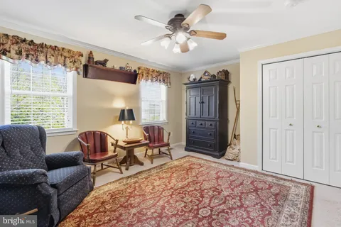 a view of a garden with plants