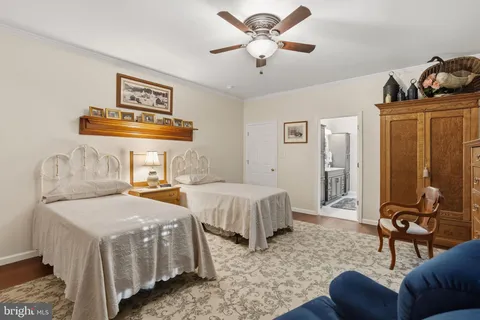 a view of a garden with flowers