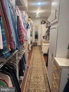 a view of a yard with plants