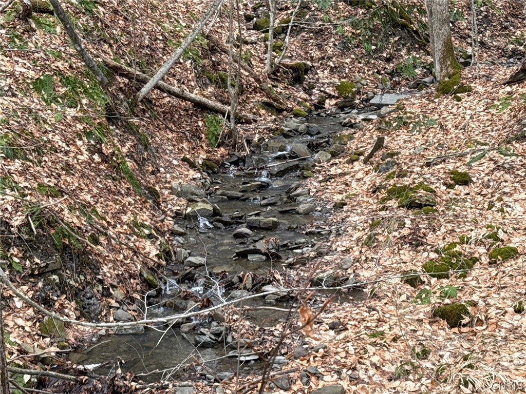Harris Road Cincinnatus, NY 13040 - Photo 20 of 22 Gallery Image 20
