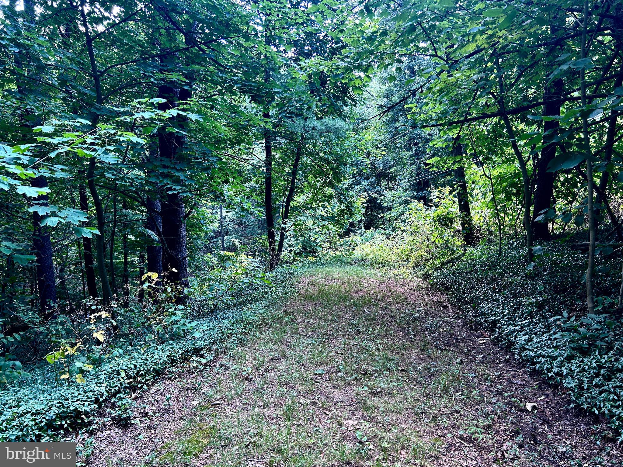 Discover Parcel 10 Bears Crossing.