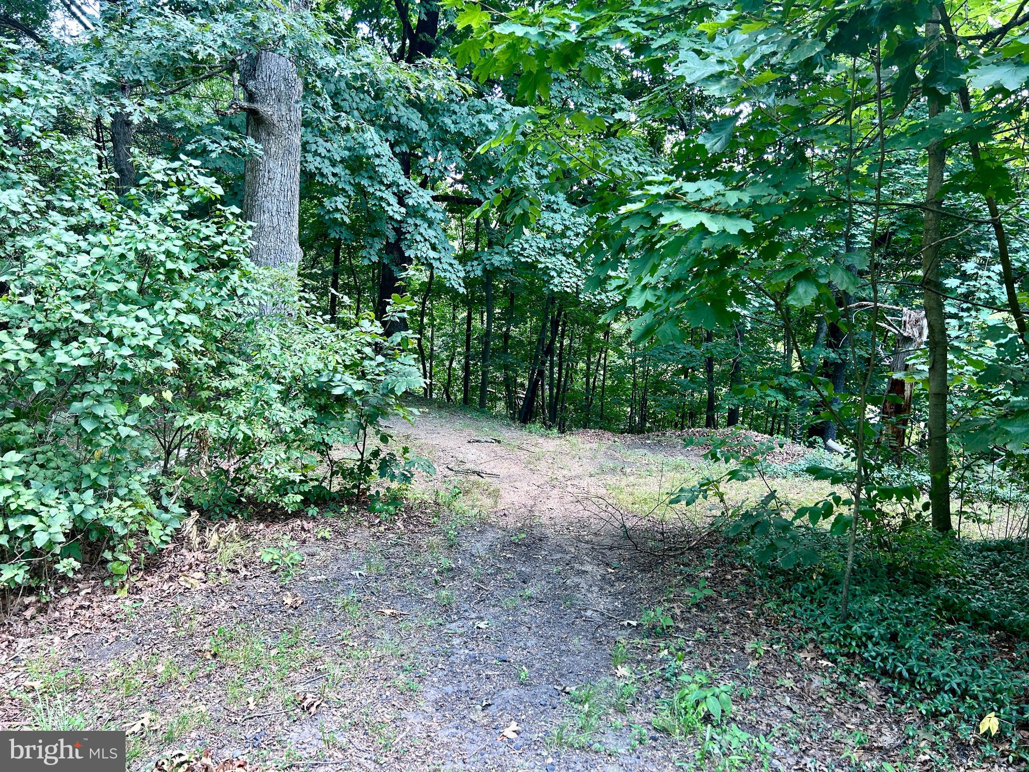 10 Co Rte 2/3 Hedgesville, WV 25427 - Photo 16 of 48 Walking trail.