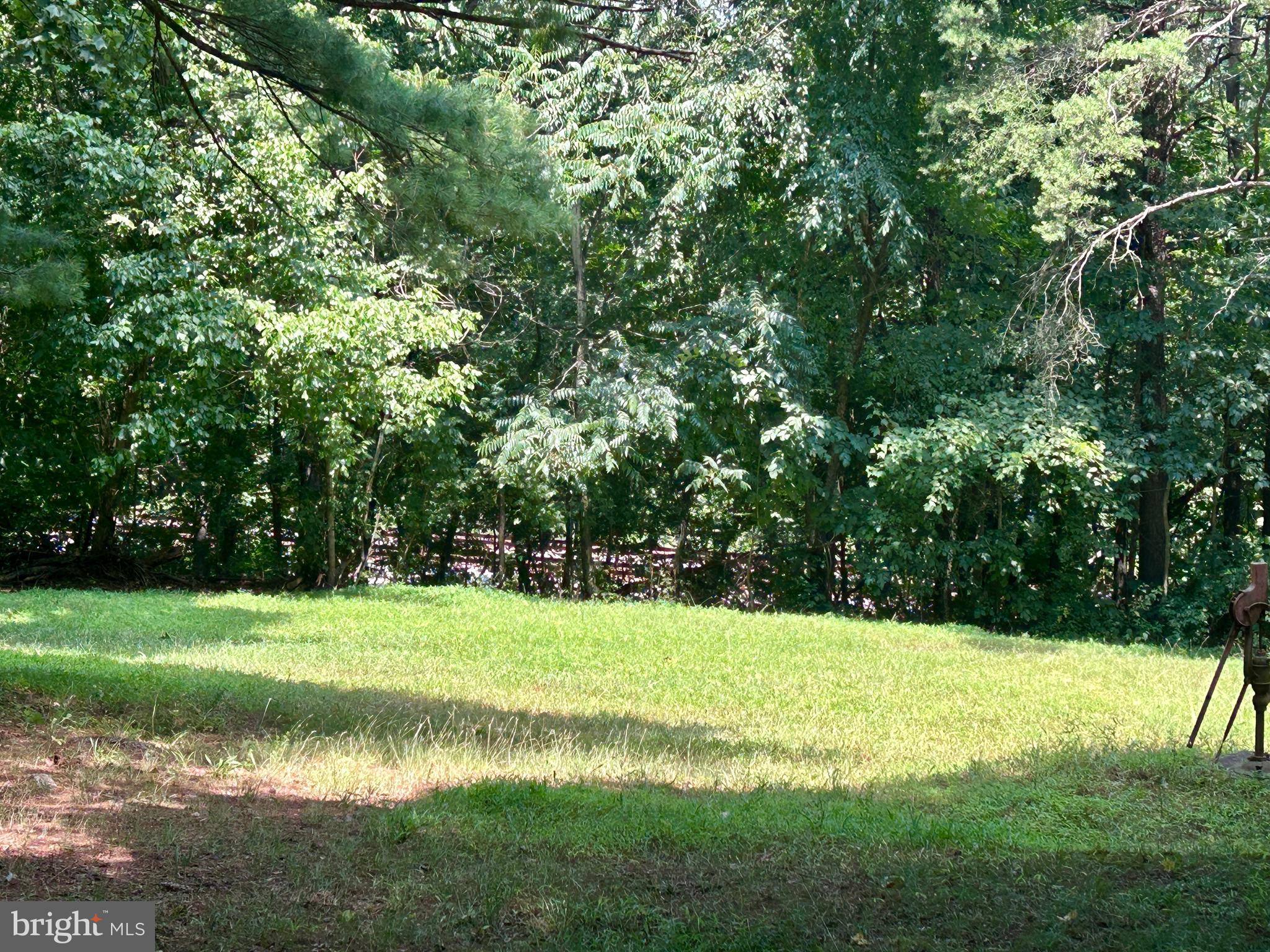 10 Co Rte 2/3 Hedgesville, WV 25427 - Photo 19 of 48 Backyard.