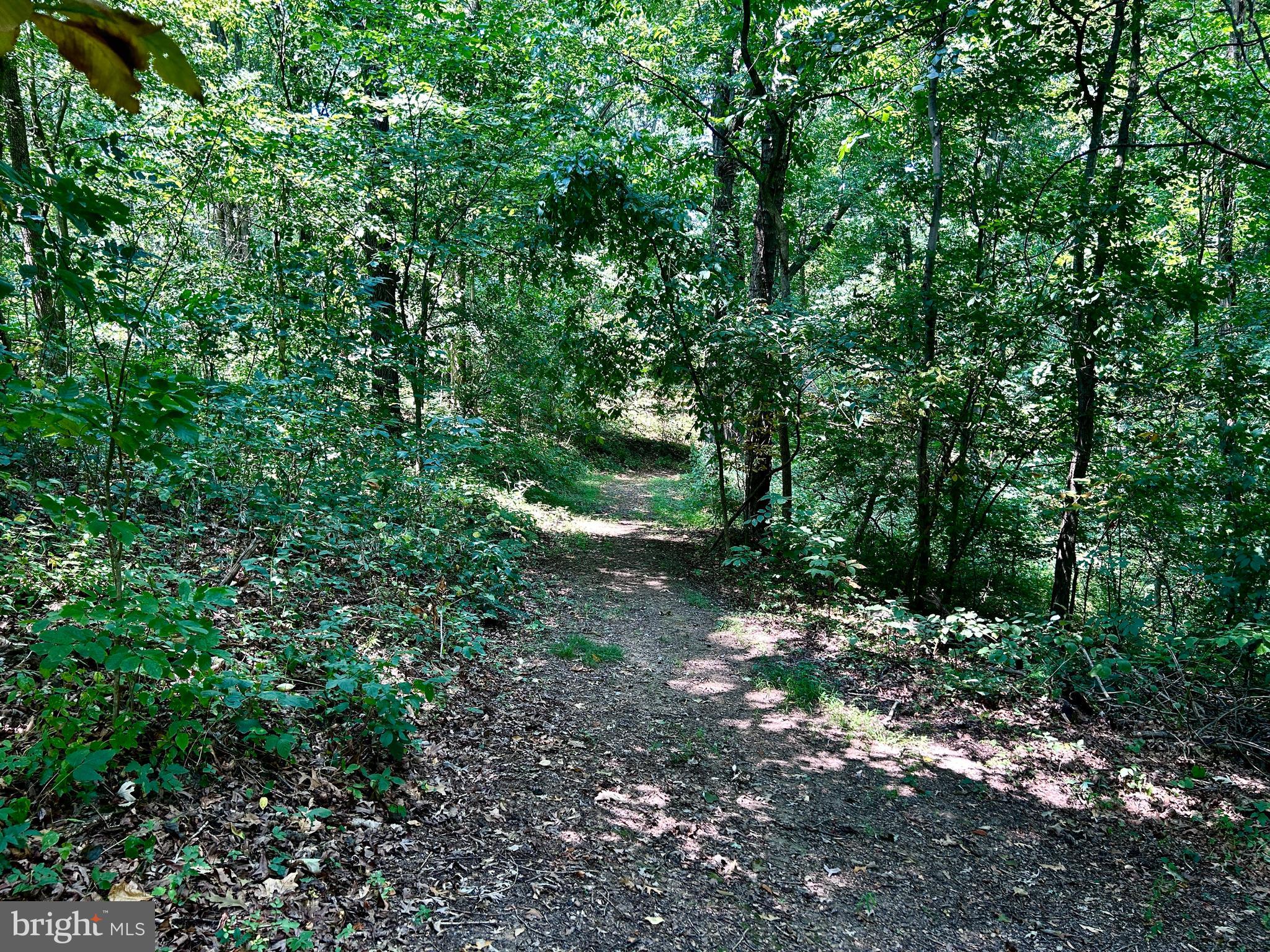 10 Co Rte 2/3 Hedgesville, WV 25427 - Photo 22 of 48 Let's walk the property.