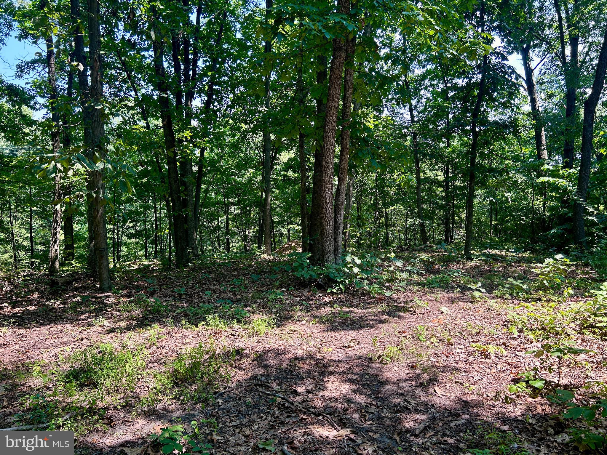 10 Co Rte 2/3 Hedgesville, WV 25427 - Photo 24 of 48 Lovely and wooded.
