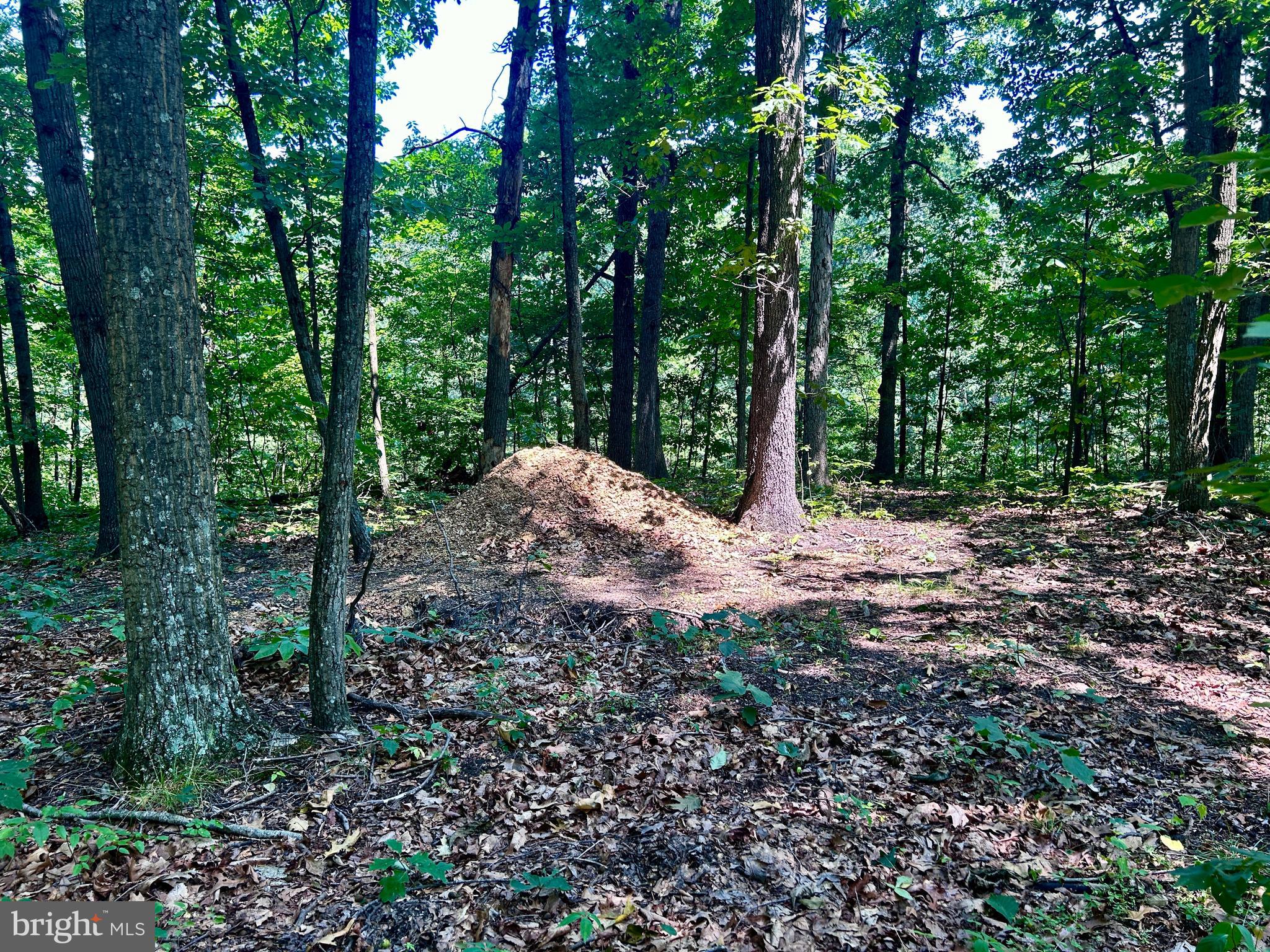 10 Co Rte 2/3 Hedgesville, WV 25427 - Photo 25 of 48 Perc test site.