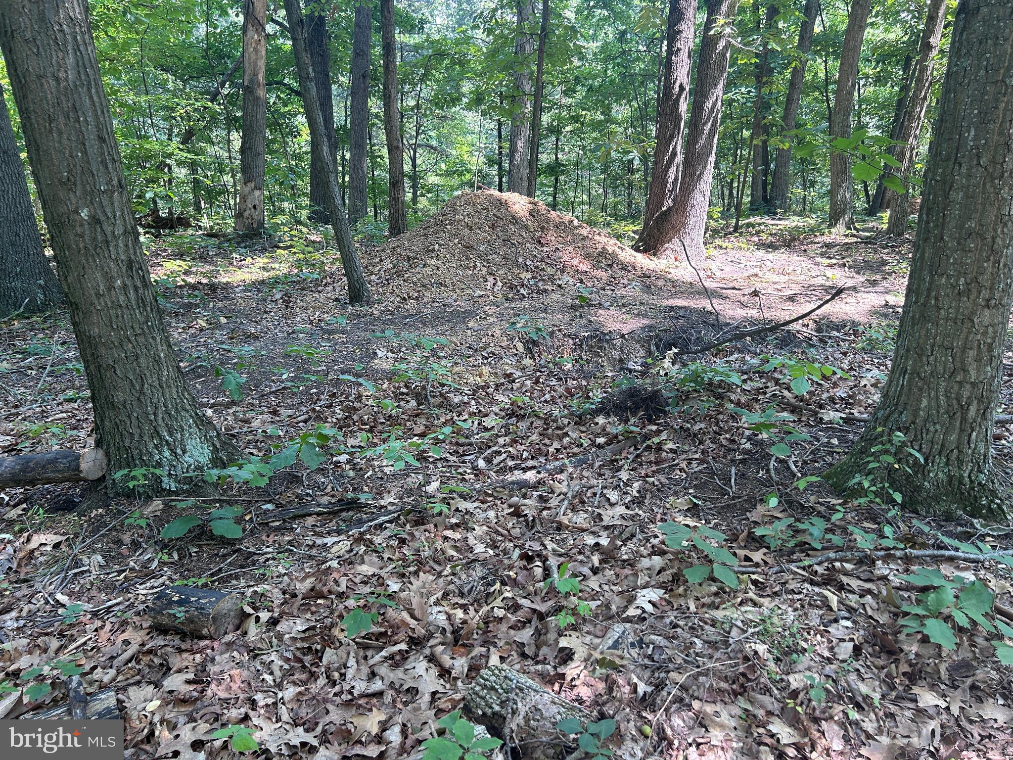 10 Co Rte 2/3 Hedgesville, WV 25427 - Photo 26 of 48 Perc test site.