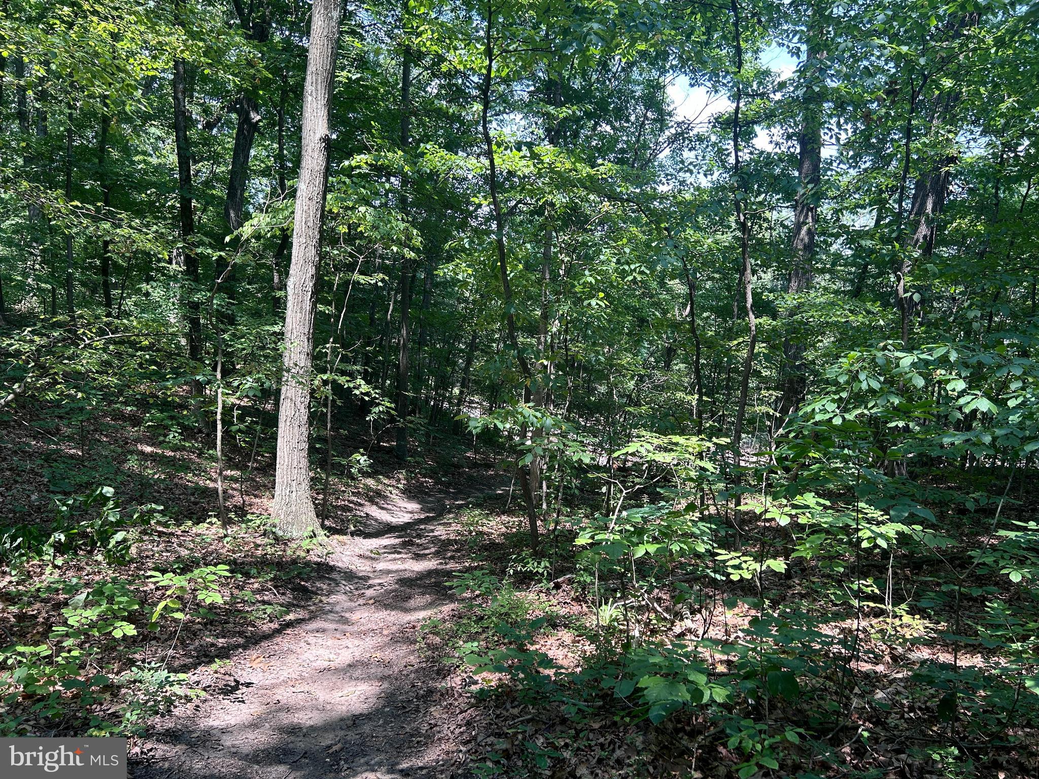 10 Co Rte 2/3 Hedgesville, WV 25427 - Photo 27 of 48 Quiet.