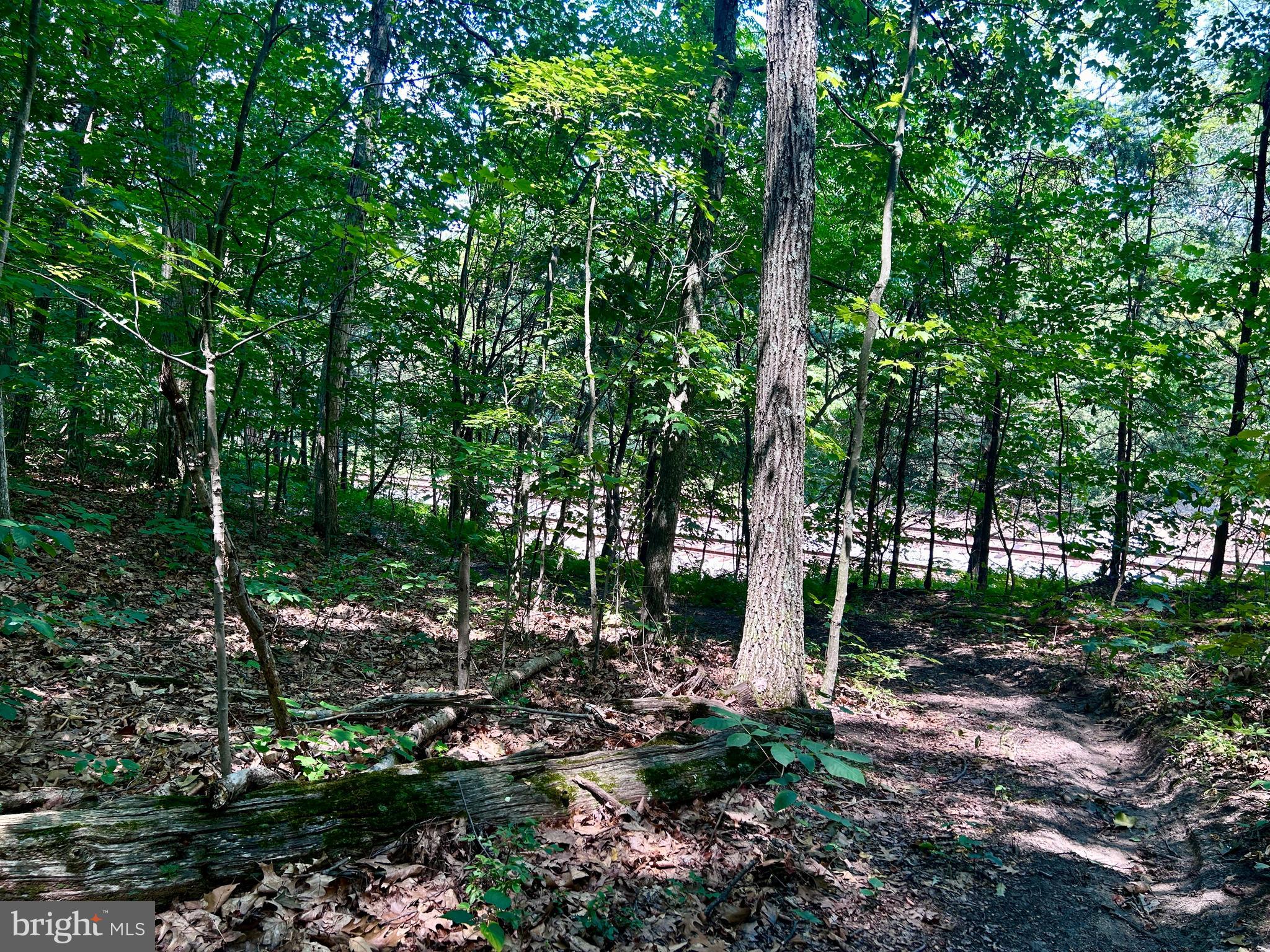 10 Co Rte 2/3 Hedgesville, WV 25427 - Photo 28 of 48 Peaceful.