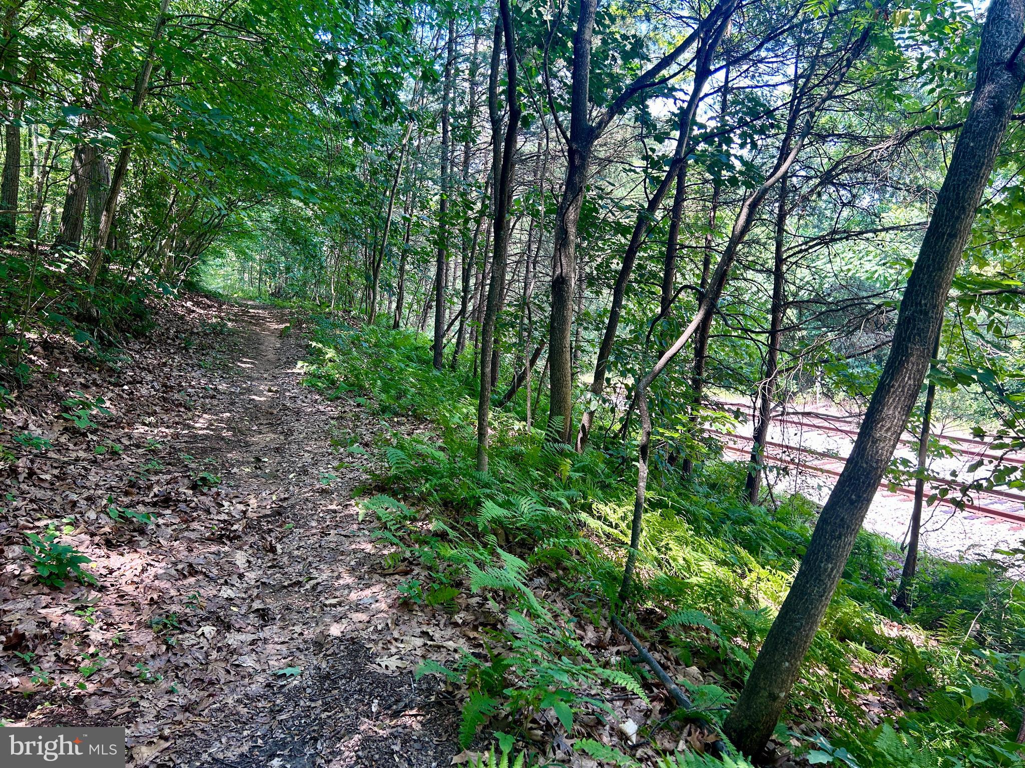 10 Co Rte 2/3 Hedgesville, WV 25427 - Photo 29 of 48 The RR tracks to the right.