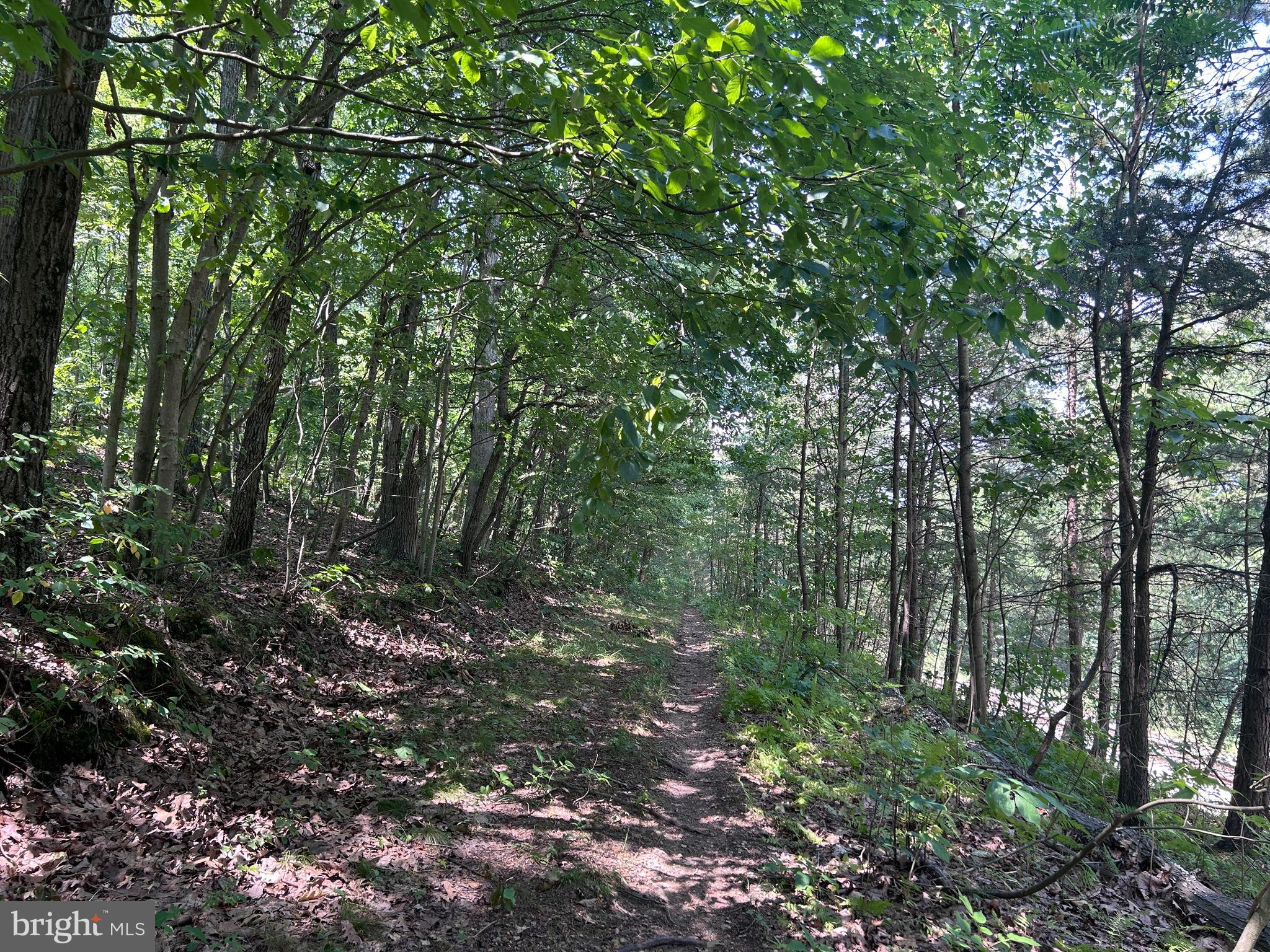 10 Co Rte 2/3 Hedgesville, WV 25427 - Photo 31 of 48 Zen!