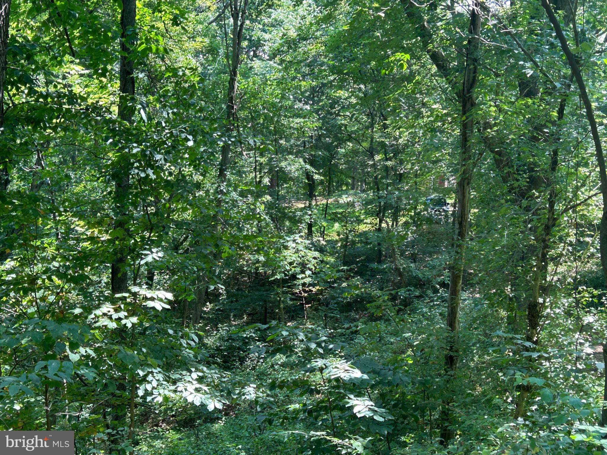 10 Co Rte 2/3 Hedgesville, WV 25427 - Photo 33 of 48 Gorgeous.