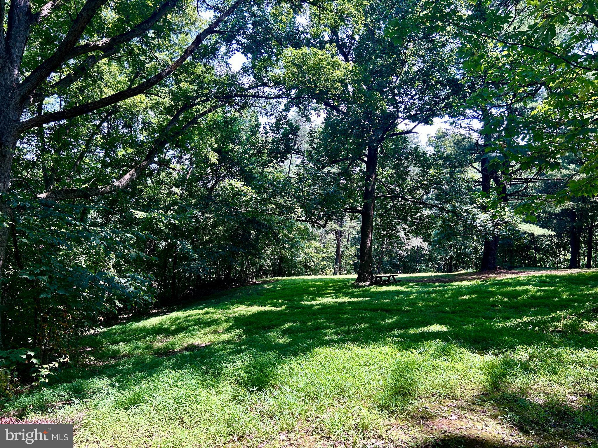 10 Co Rte 2/3 Hedgesville, WV 25427 - Photo 37 of 48 Mix of shade and sun.