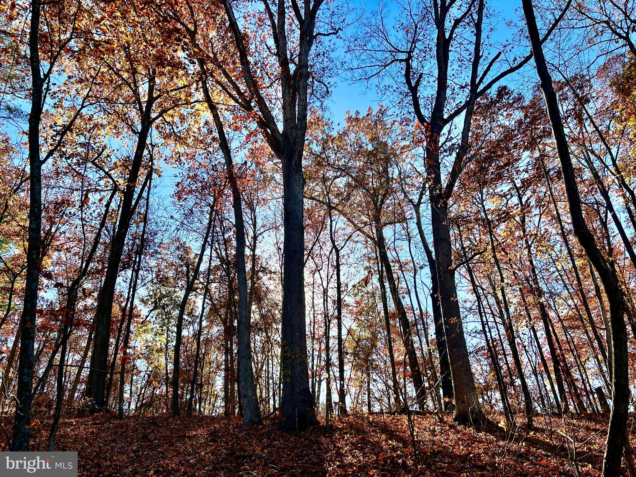 10 Co Rte 2/3 Hedgesville, WV 25427 - Photo 39 of 48 Beautiful in the fall.