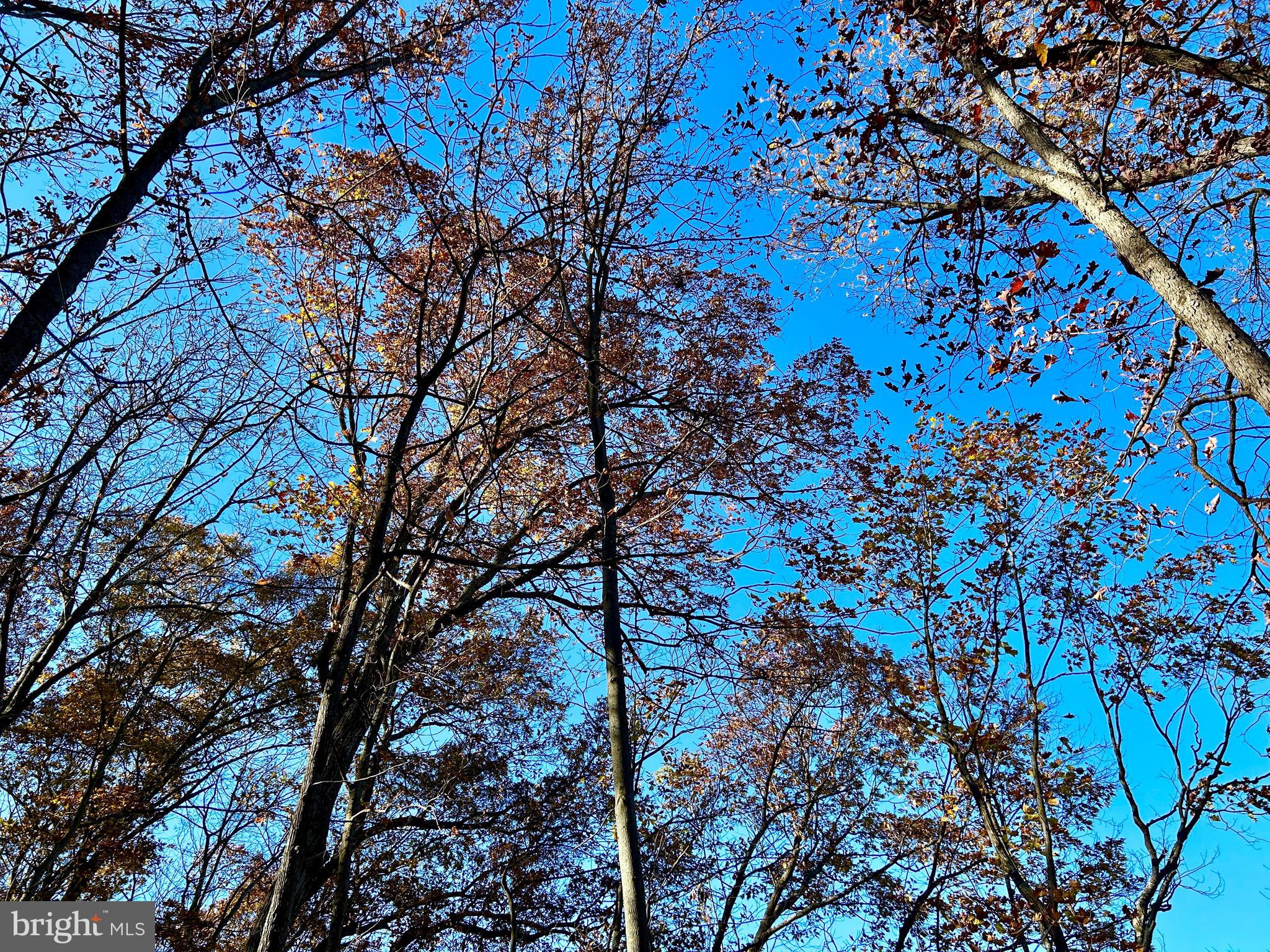 10 Co Rte 2/3 Hedgesville, WV 25427 - Photo 40 of 48 Fall photo.