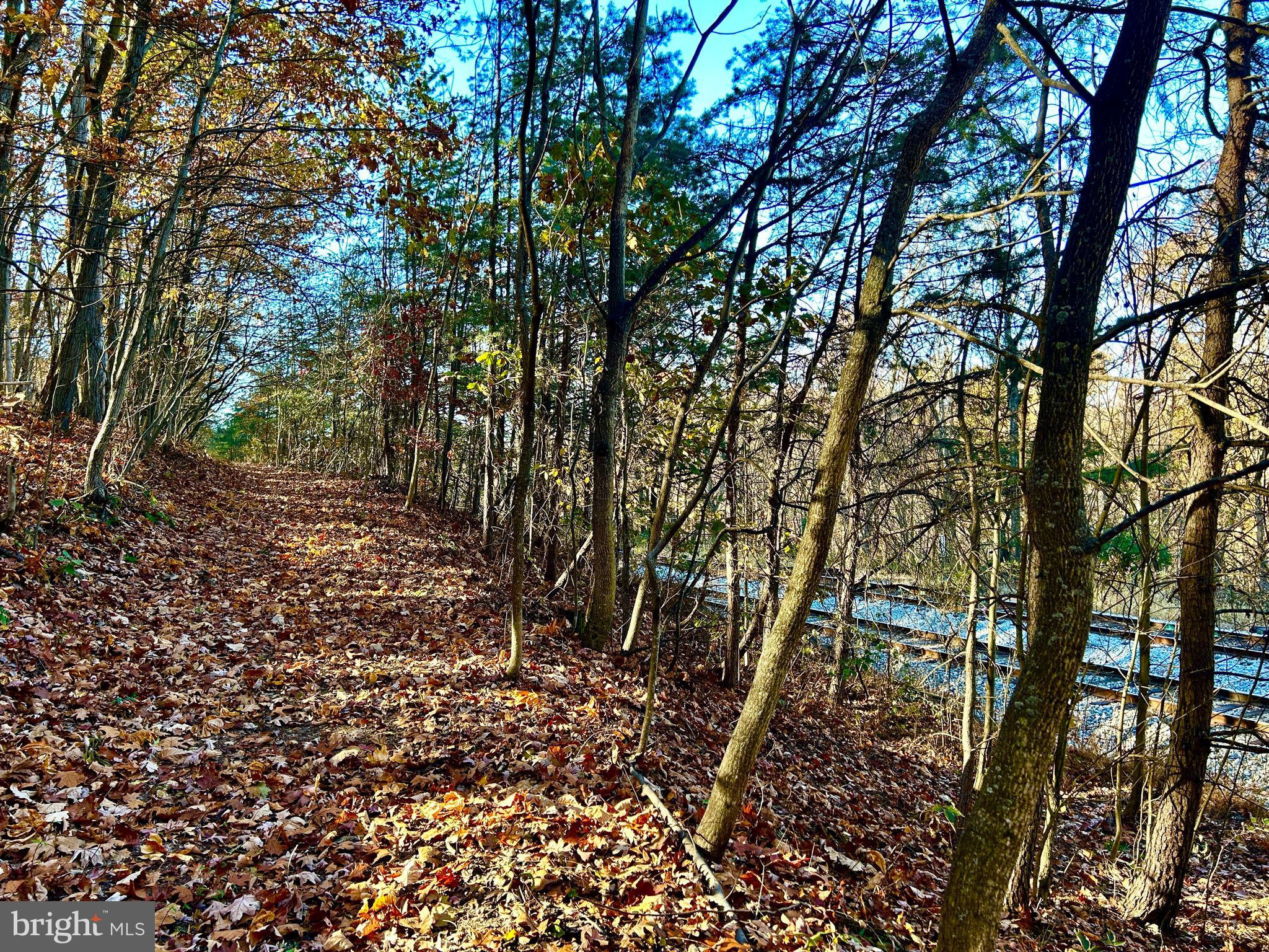 10 Co Rte 2/3 Hedgesville, WV 25427 - Photo 41 of 48 Fall photo.