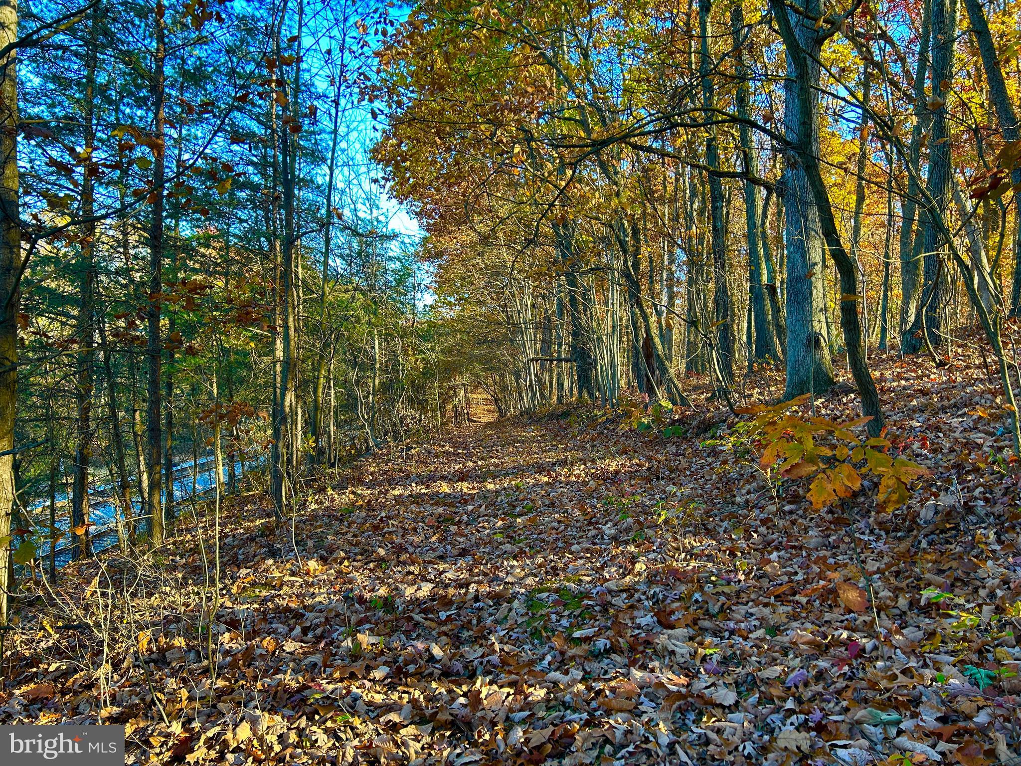 10 Co Rte 2/3 Hedgesville, WV 25427 - Photo 42 of 48 Colorific in the Fall.