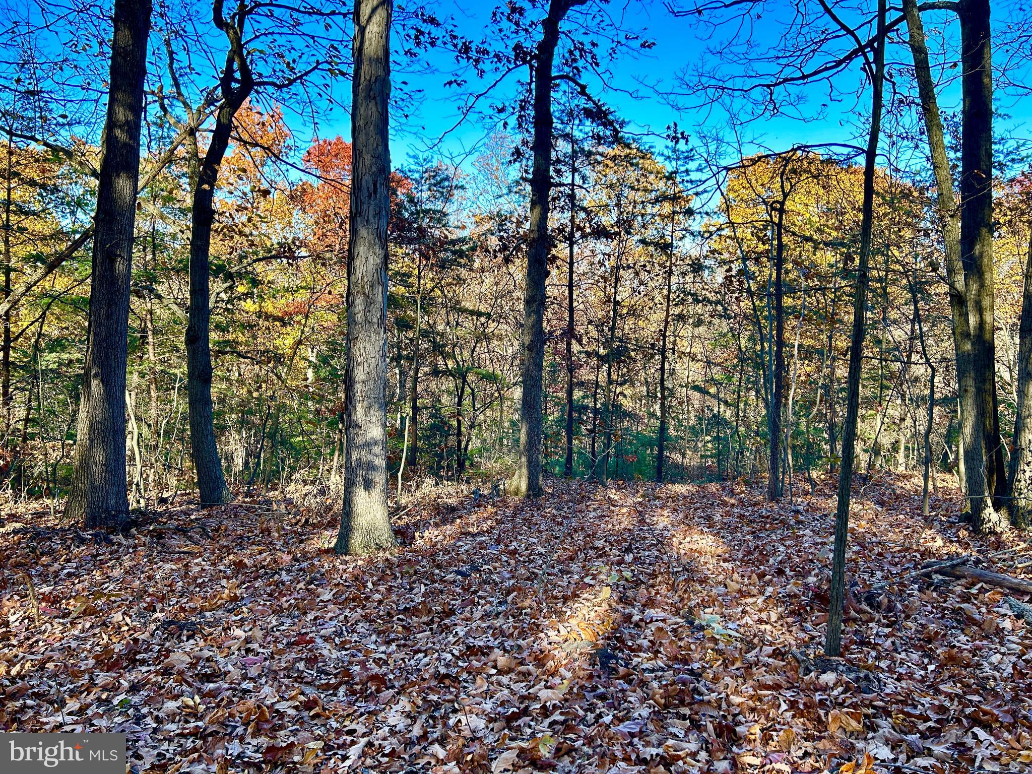 10 Co Rte 2/3 Hedgesville, WV 25427 - Photo 43 of 48 Look how pretty!