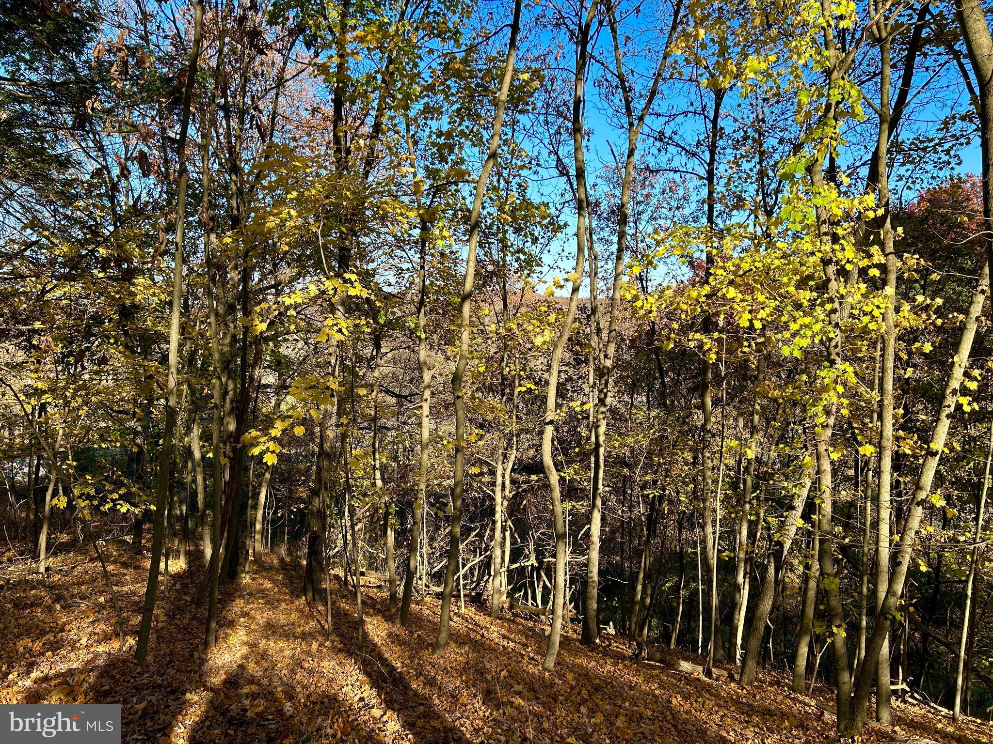 10 Co Rte 2/3 Hedgesville, WV 25427 - Photo 46 of 48 Fall photo.