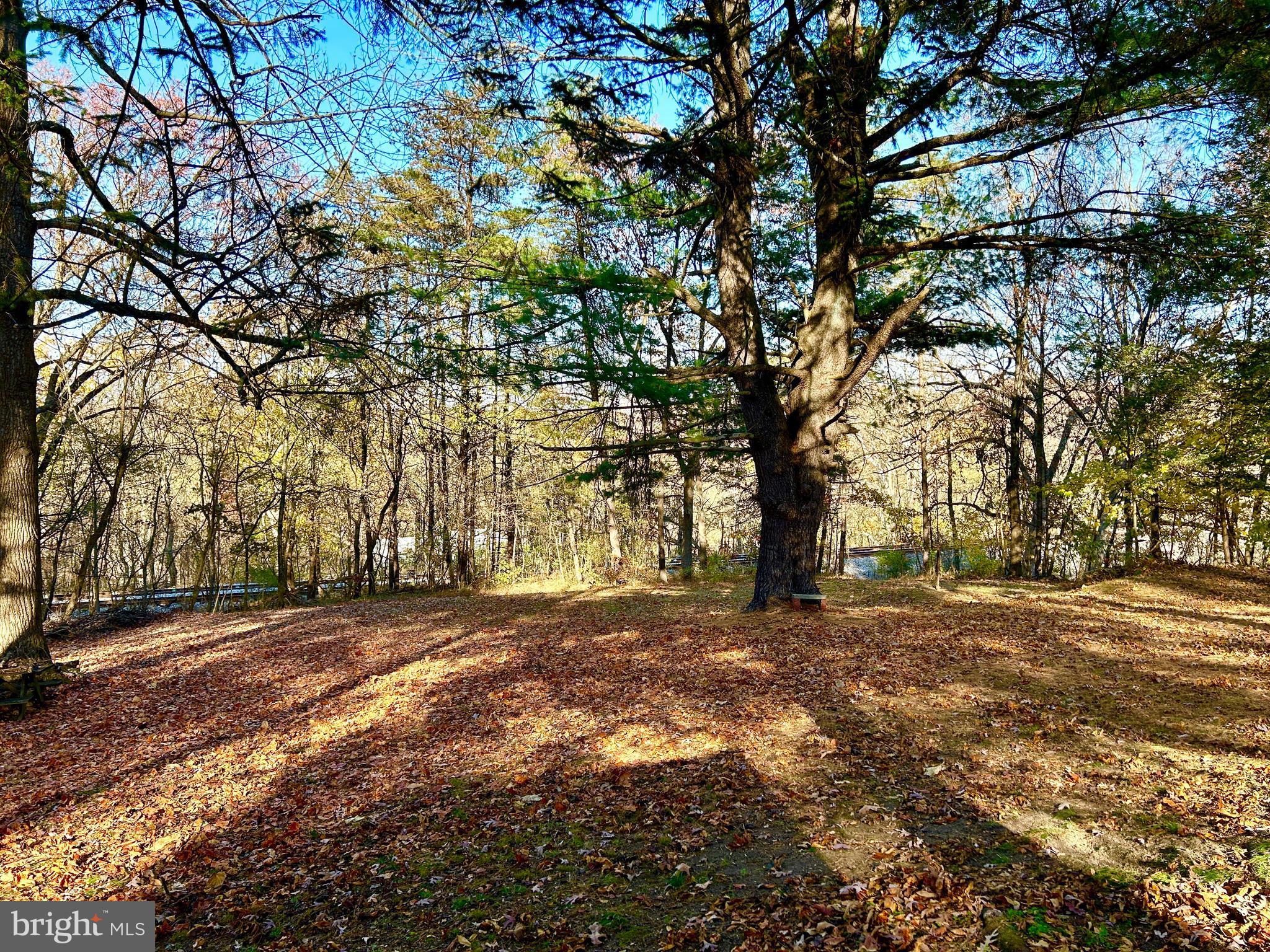 10 Co Rte 2/3 Hedgesville, WV 25427 - Photo 48 of 48 Fall photo.