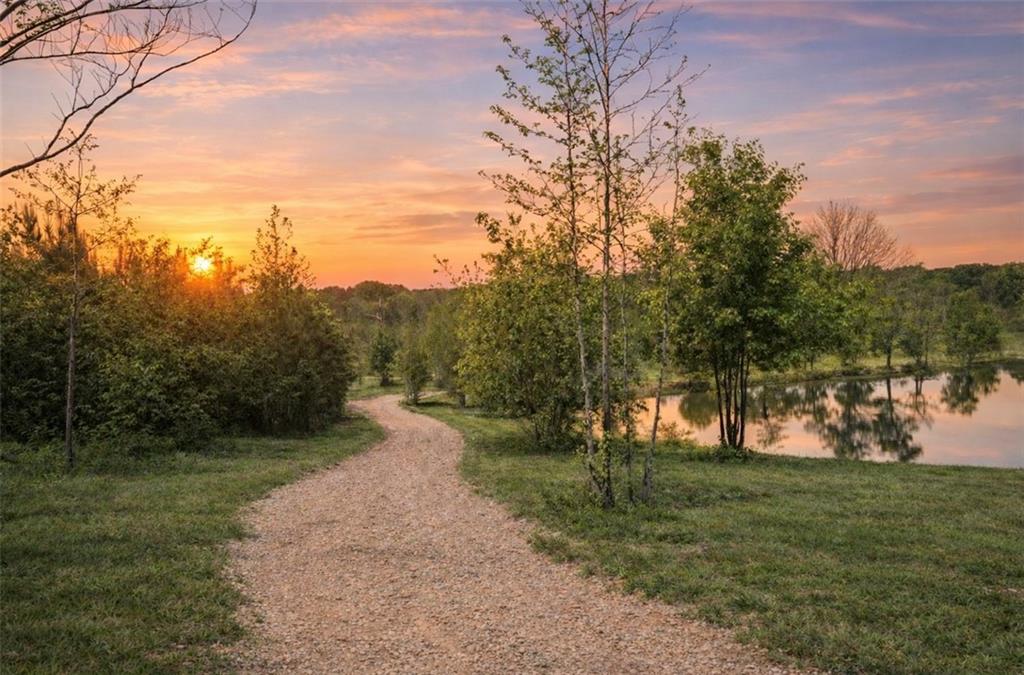 1590 Buttermilk Road Southwest Cave Spring, GA 30124 - Photo 2 of 43 a view of a street with a yard and a large tree