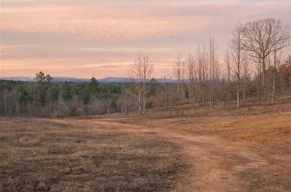 a view of a dry yard with trees