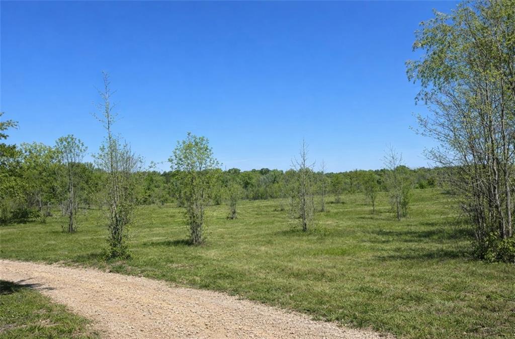 1590 Buttermilk Road Southwest Cave Spring, GA 30124 - Photo 5 of 43 a view of a field with an trees