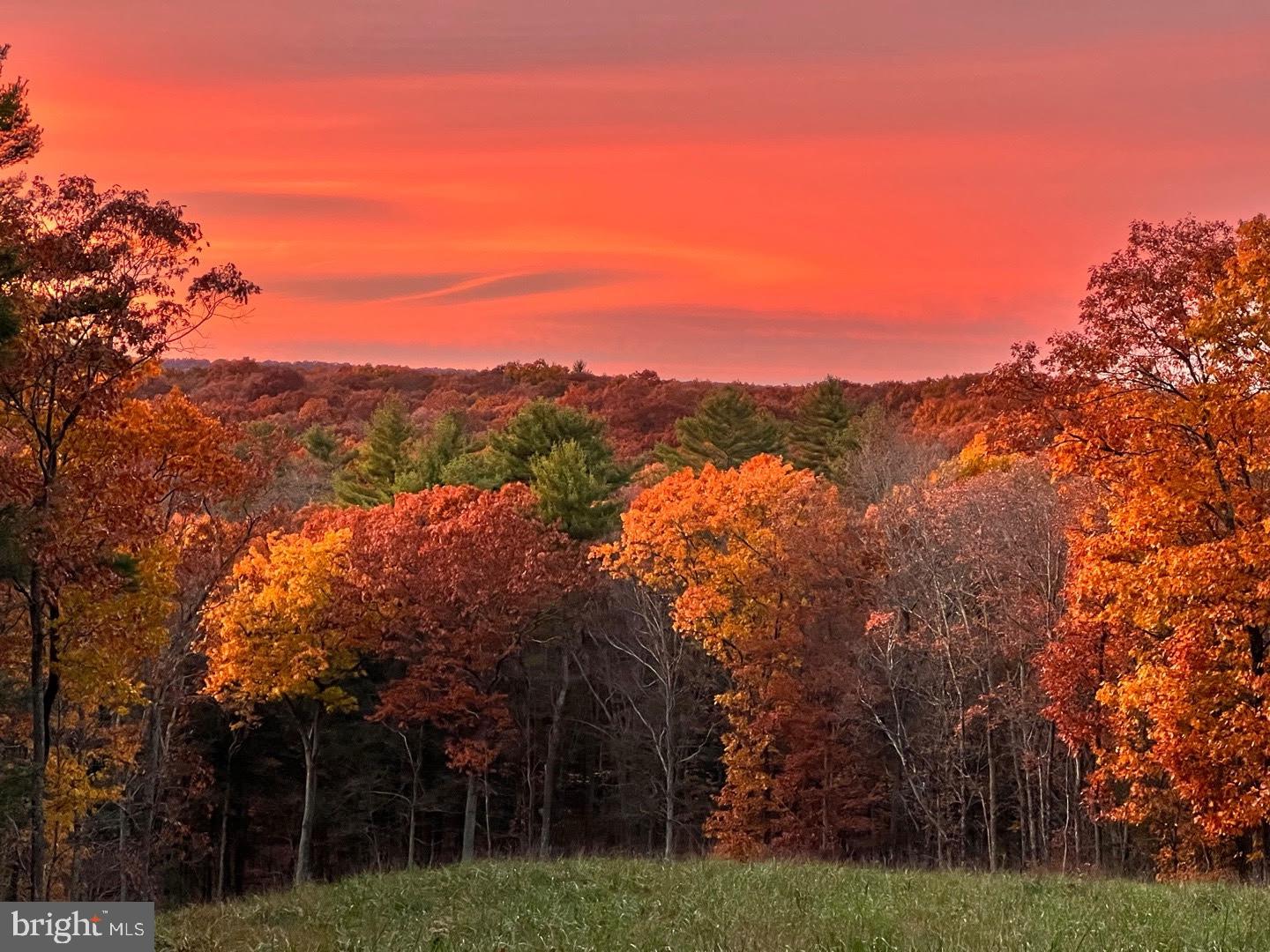 0 Cummins Hill Road Matamoras, PA 18336 - Photo 100 of 116 Autumn's vibrant sunset embrace.