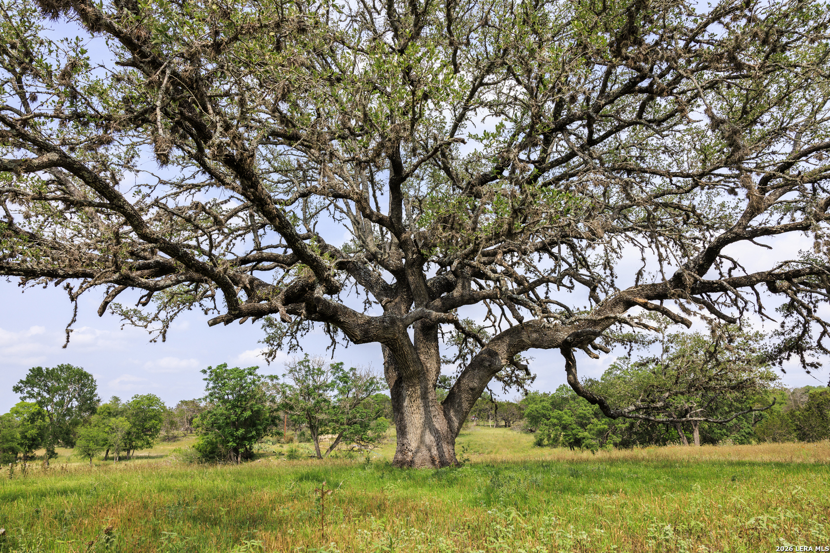 0 Clearwater Ranches 19 Comfort, TX 78013 - Photo 2 of 10 a view of backyard with green space