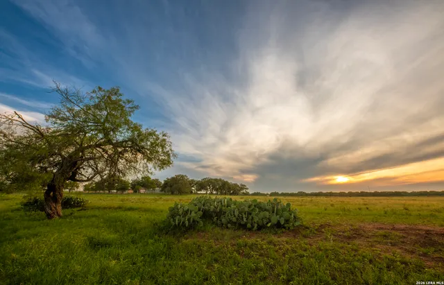 a view of a yard with an trees