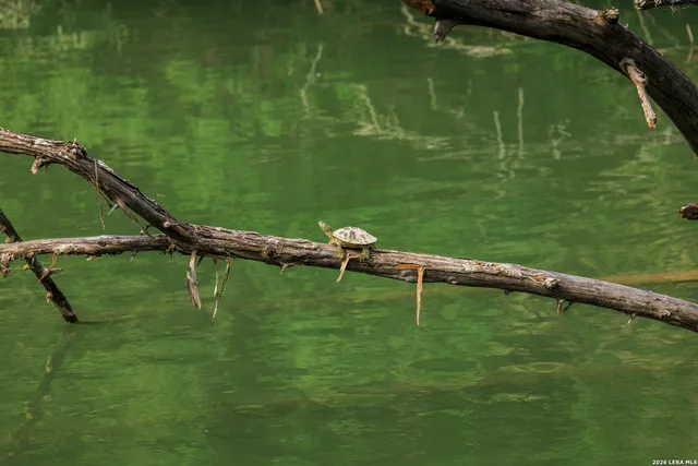 a lake view with a wooden floor