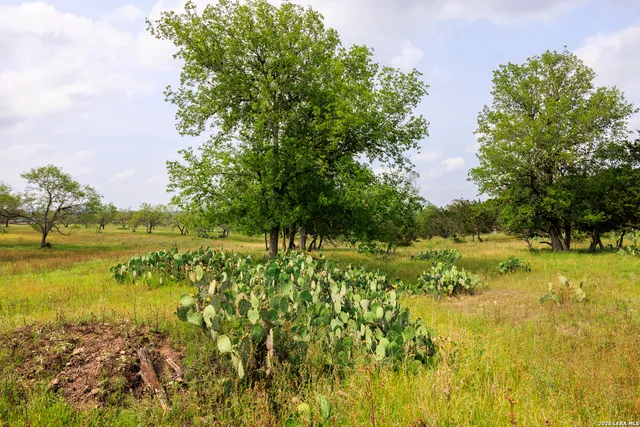 a view of a lake with a yard