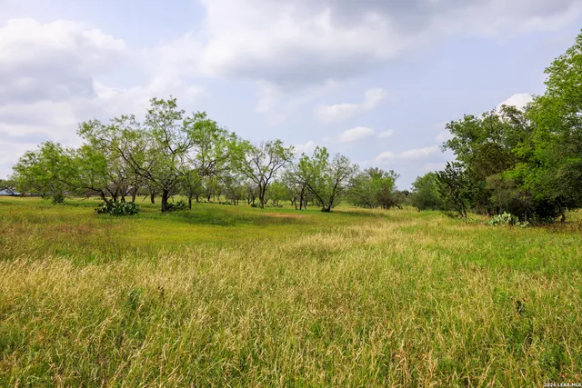 a view of yard with green space