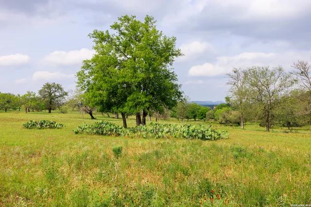 a big yard with lots of green space and fog