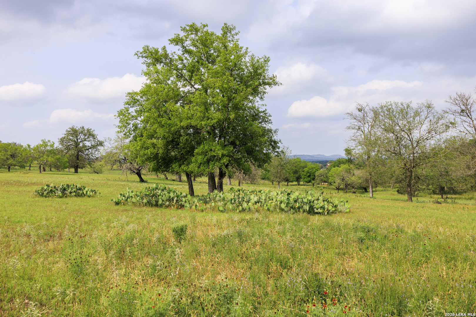 0 Clearwater Ranches 19 Comfort, TX 78013 - Photo 8 of 10 a big yard with lots of green space and fog