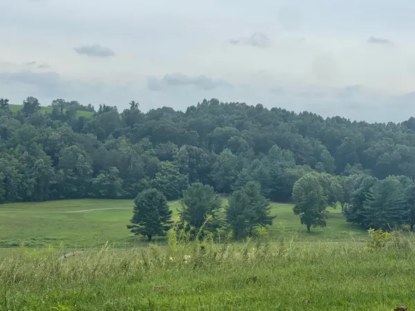 $32,500 | Lot 43 Chimney Top Lane, Unit 43, Chuckey, TN 37641