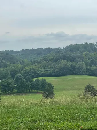 $32,500 | Lot 43 Chimney Top Lane, Unit 43, Chuckey, TN 37641
